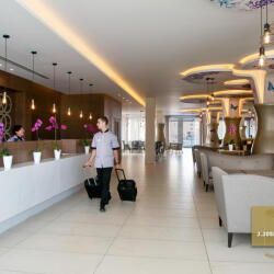 Vangelis Hotel Hospitality Interior Design Launch